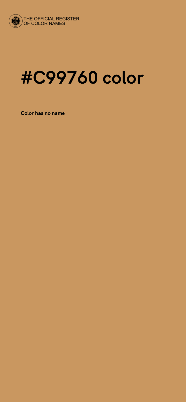 #C99760 color image