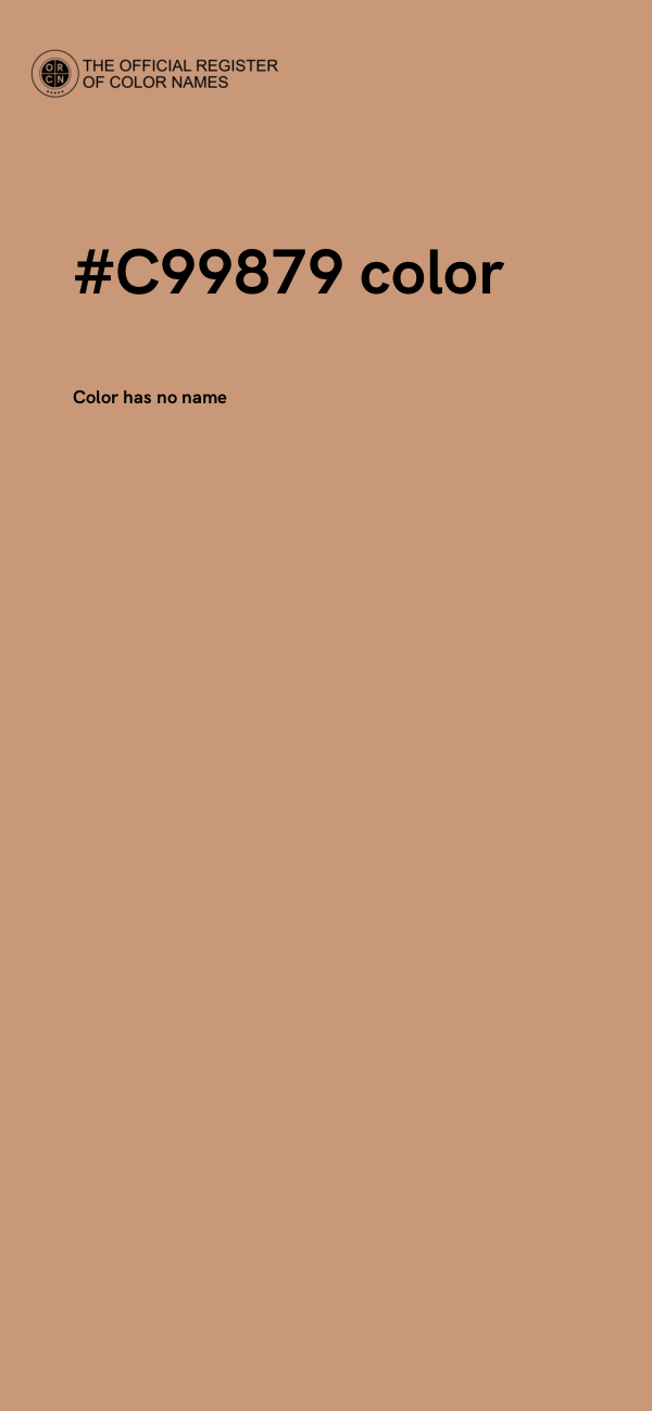 #C99879 color image