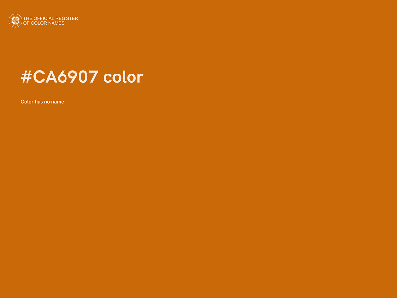 #CA6907 color image