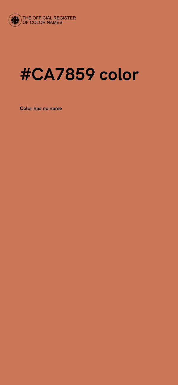 #CA7859 color image
