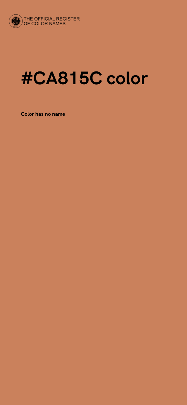 #CA815C color image