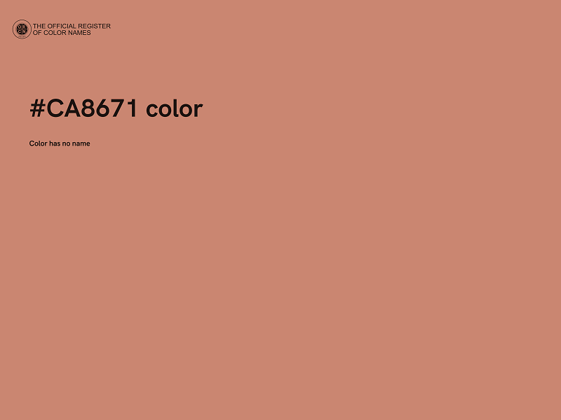 #CA8671 color image