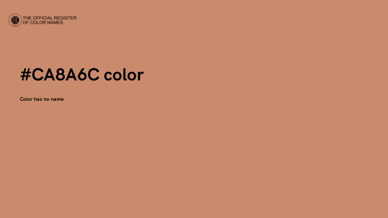 #CA8A6C color image