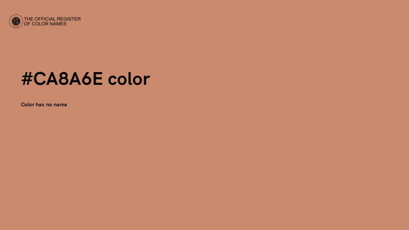 #CA8A6E color image
