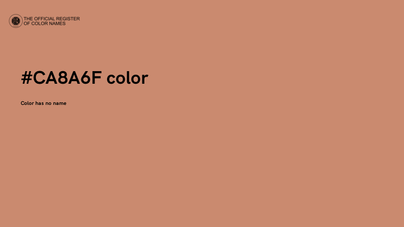#CA8A6F color image