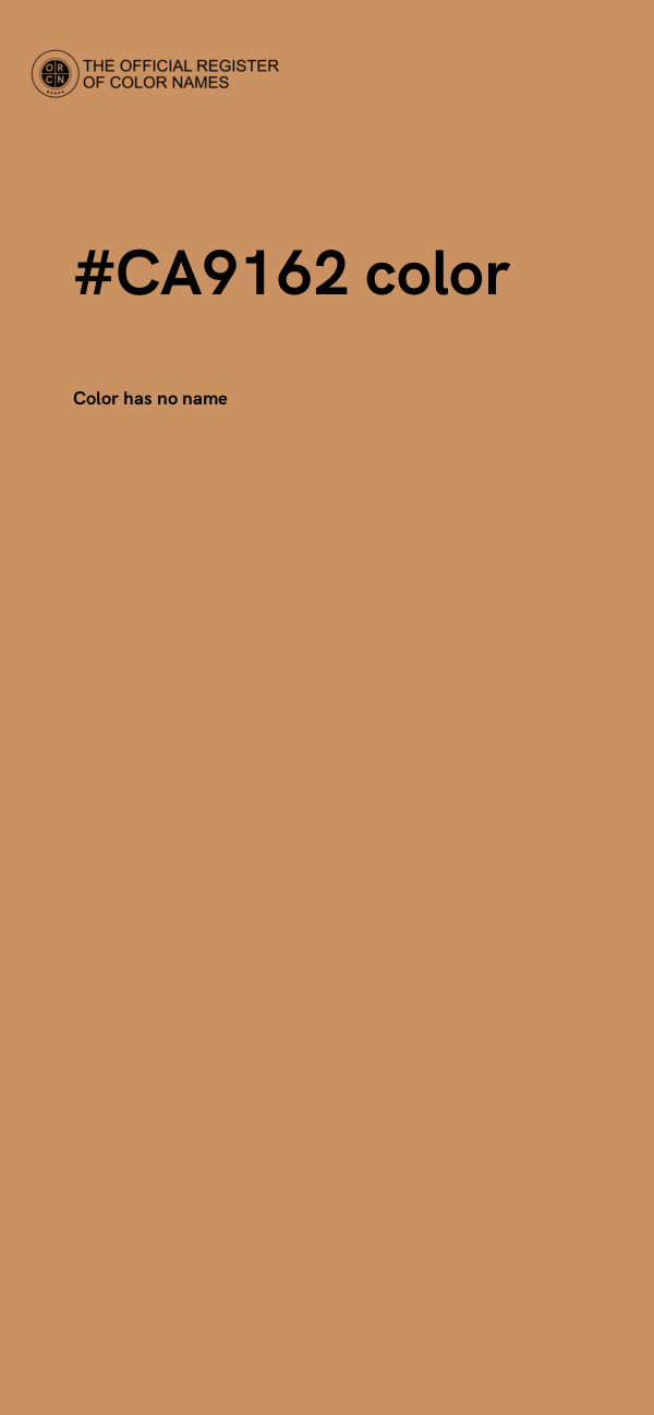 #CA9162 color image