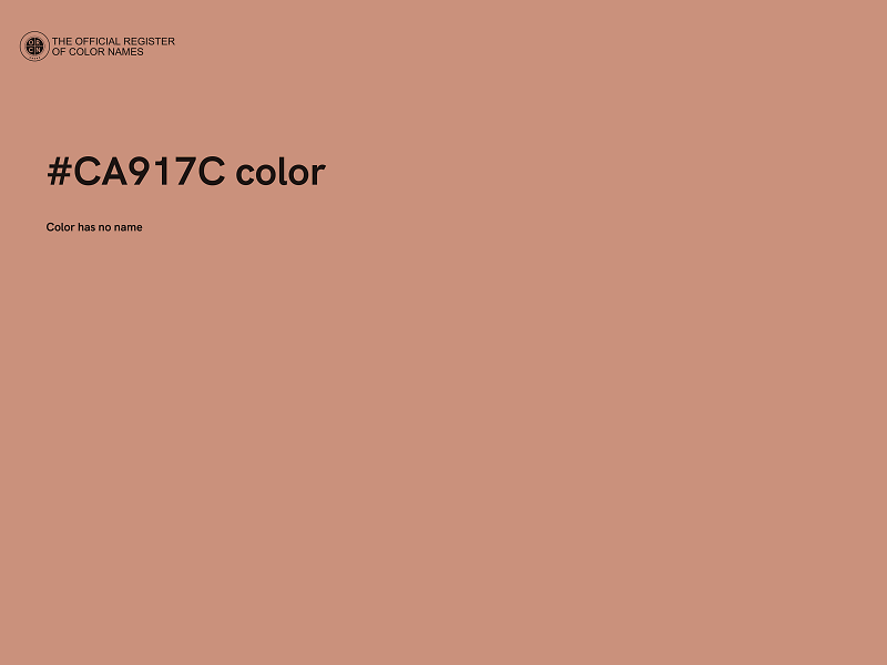 #CA917C color image