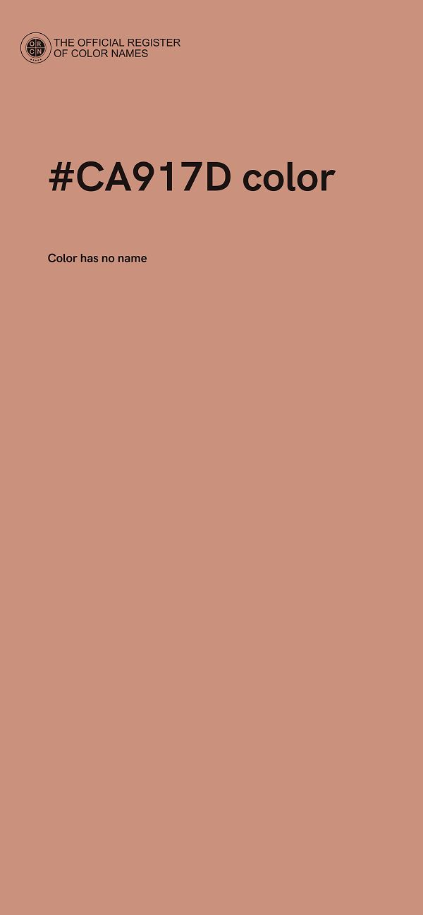 #CA917D color image