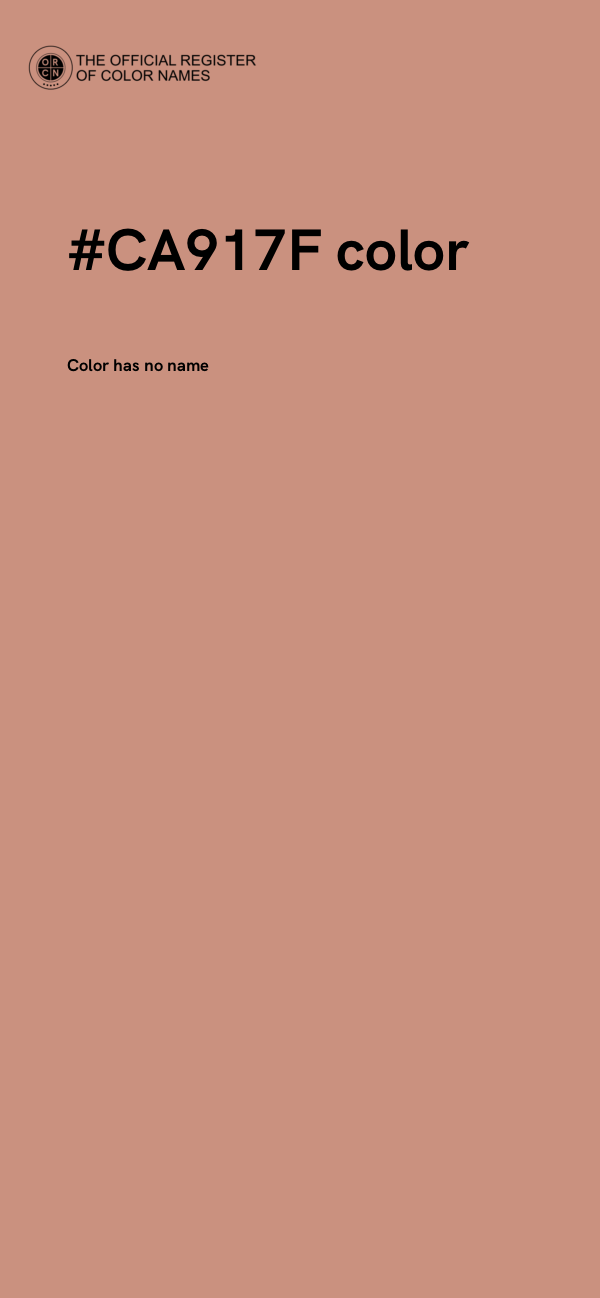 #CA917F color image