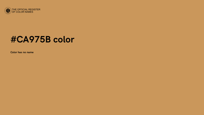 #CA975B color image