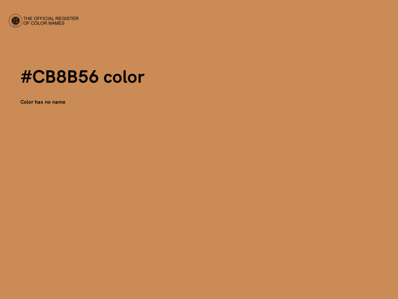 #CB8B56 color image
