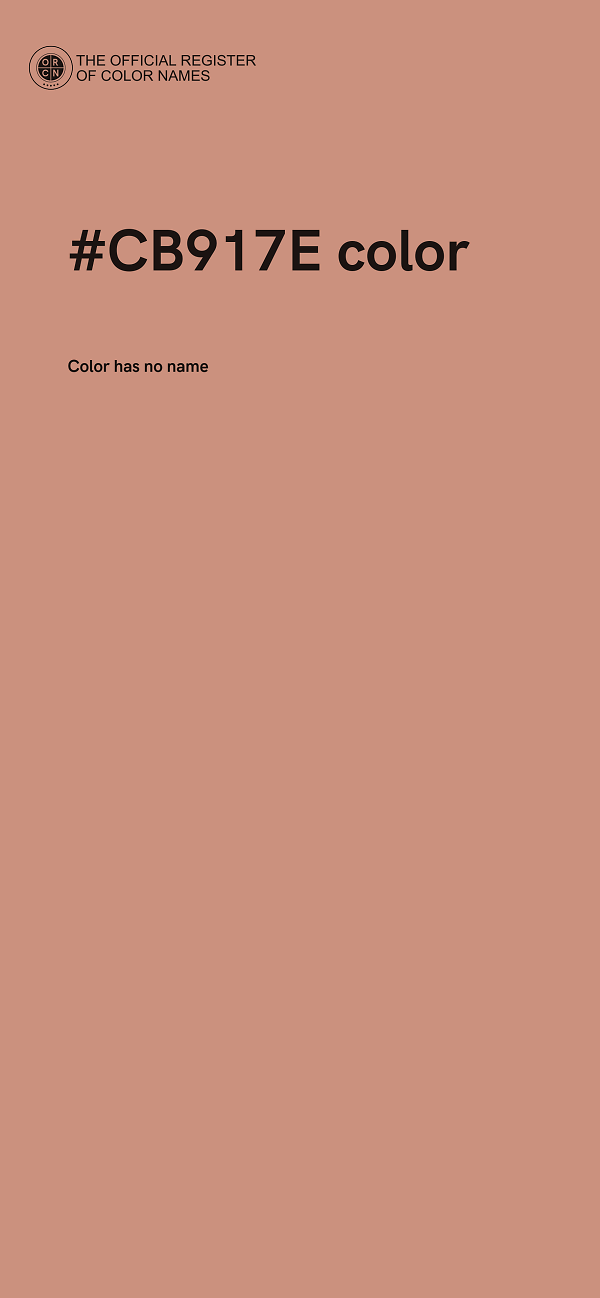 #CB917E color image