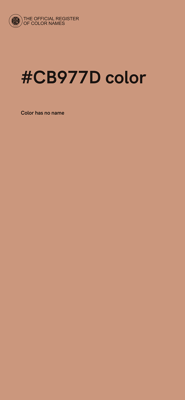 #CB977D color image