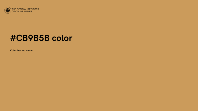 #CB9B5B color image