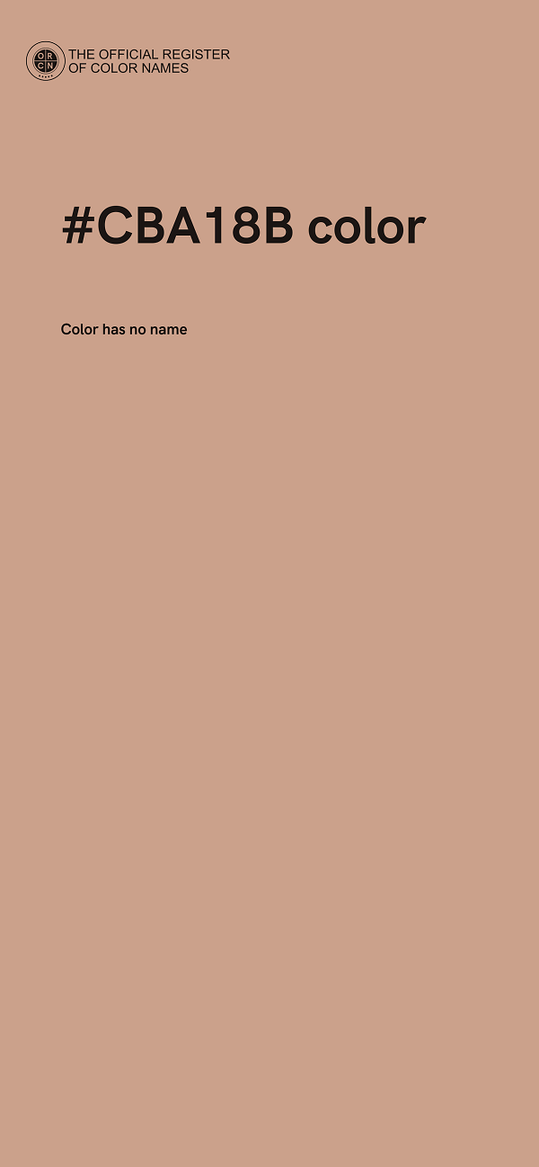 #CBA18B color image