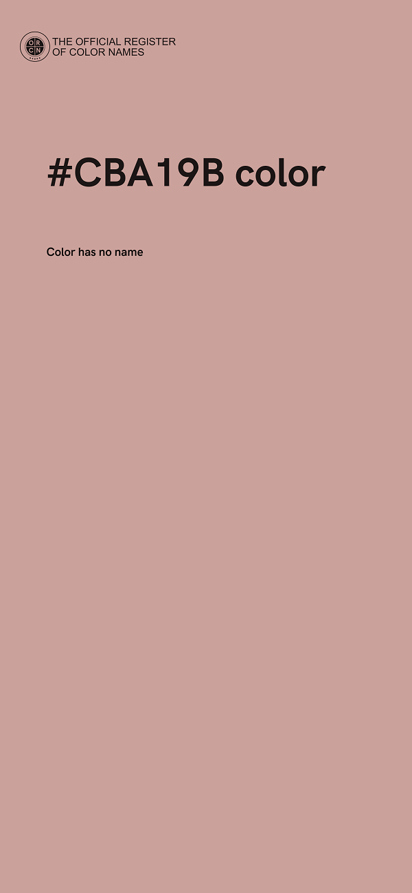 #CBA19B color image