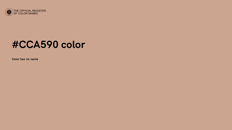 #CCA590 color image