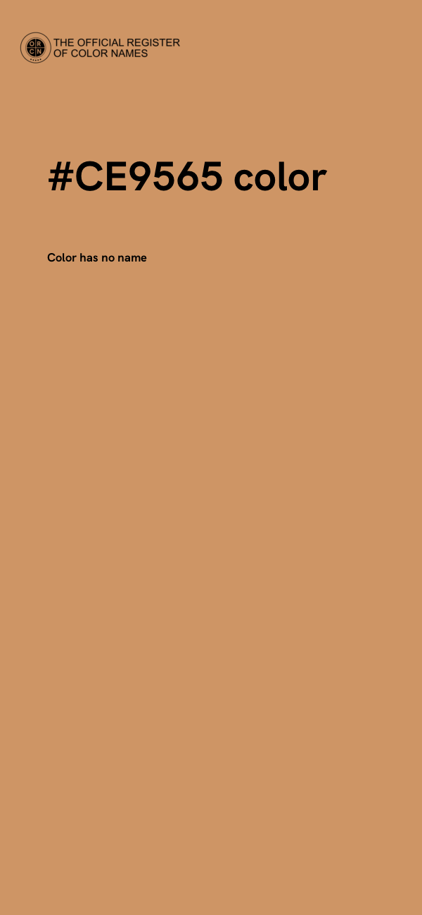 #CE9565 color image