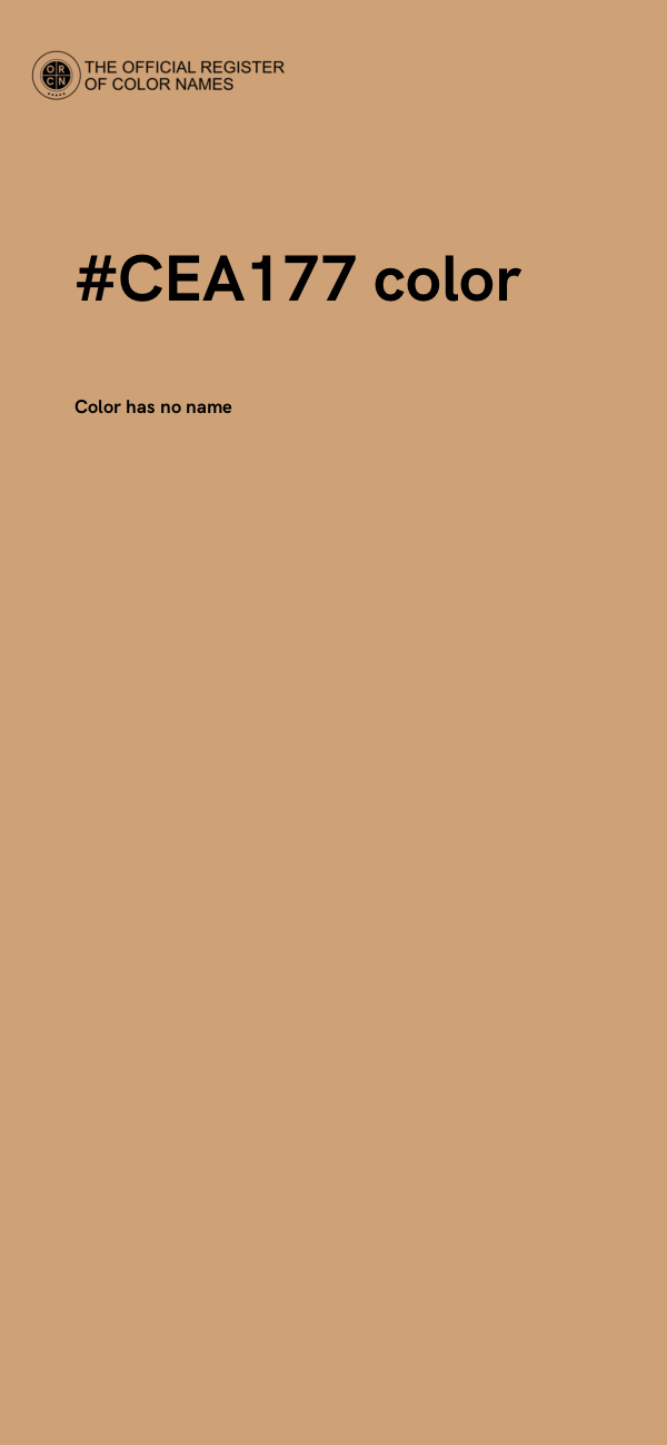 #CEA177 color image