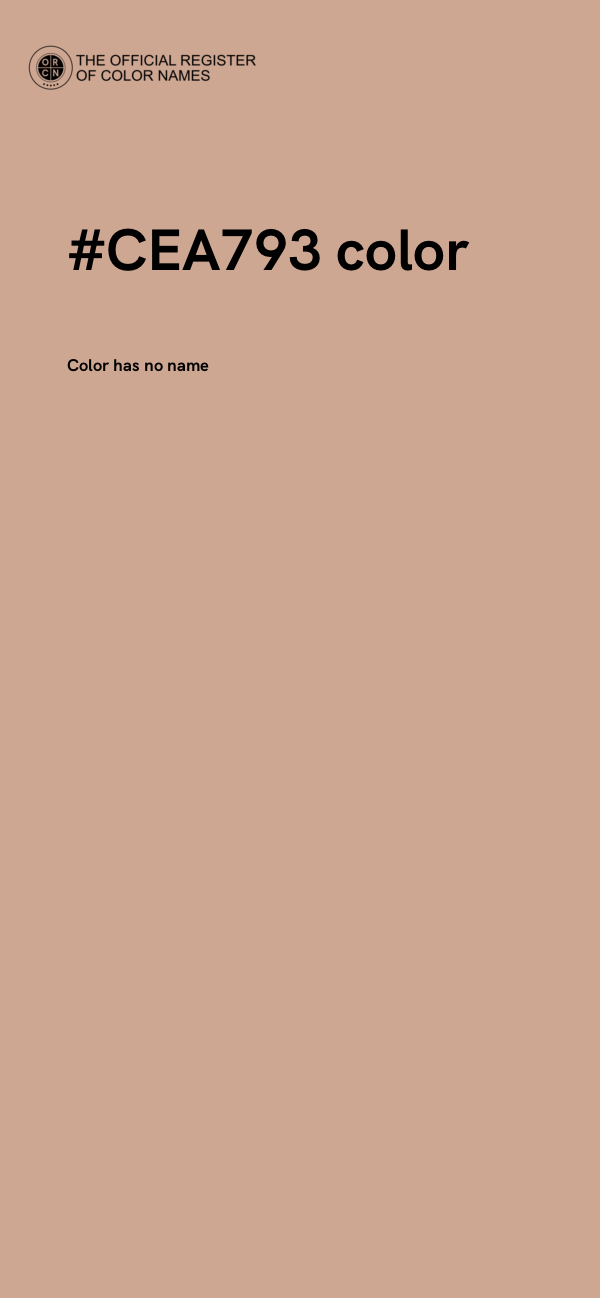 #CEA793 color image