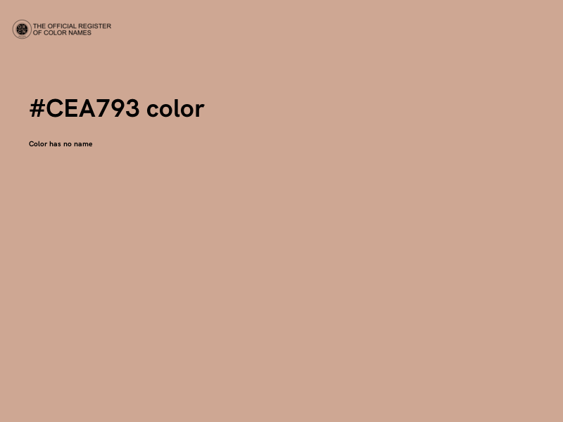 #CEA793 color image