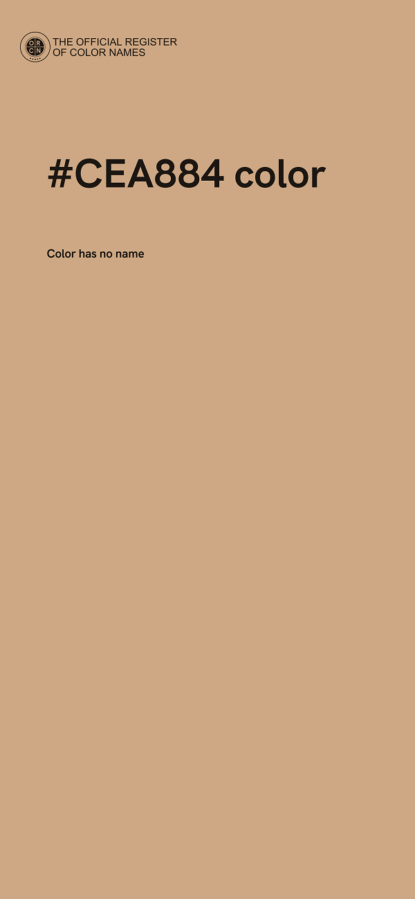 #CEA884 color image