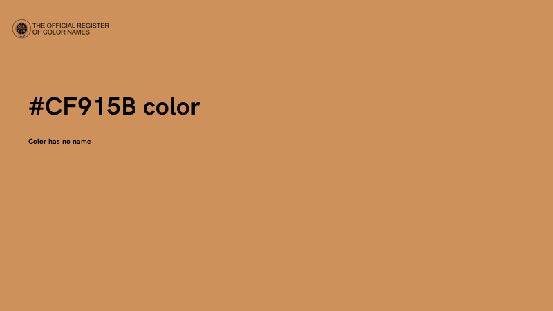 #CF915B color image