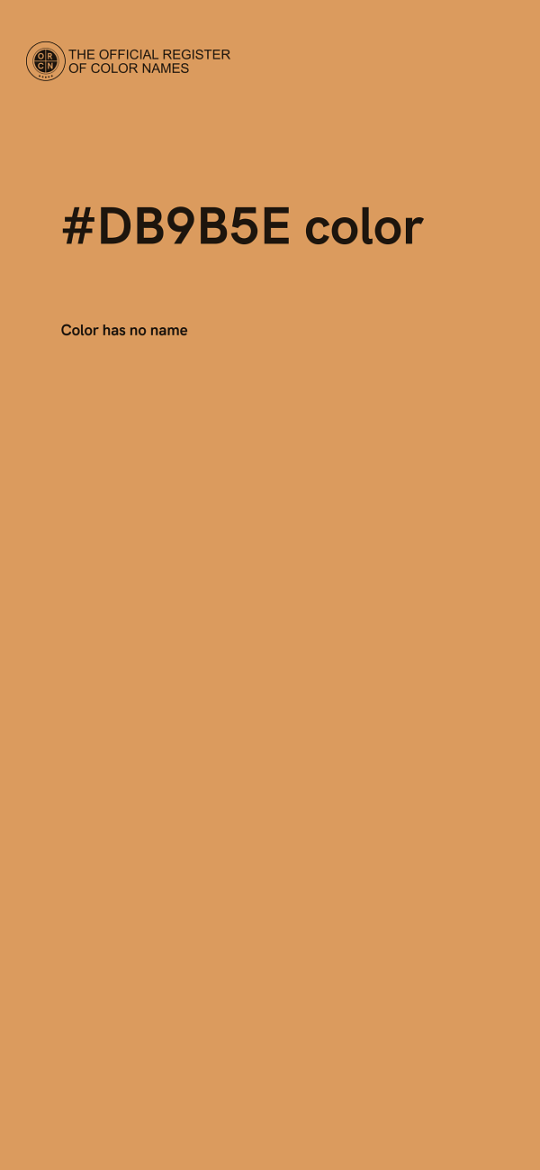 #DB9B5E color image