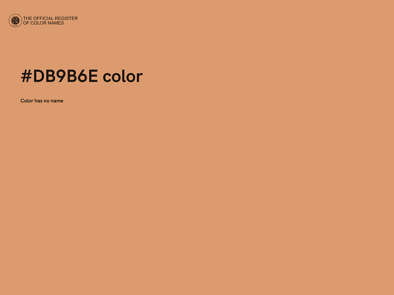 #DB9B6E color image