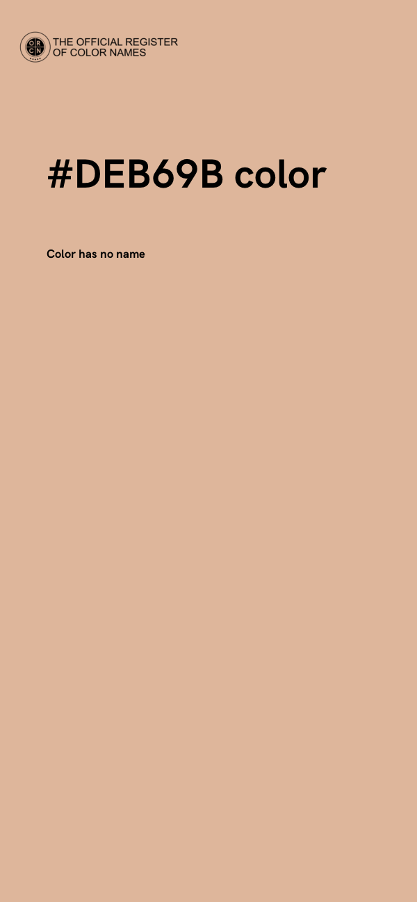 #DEB69B color image