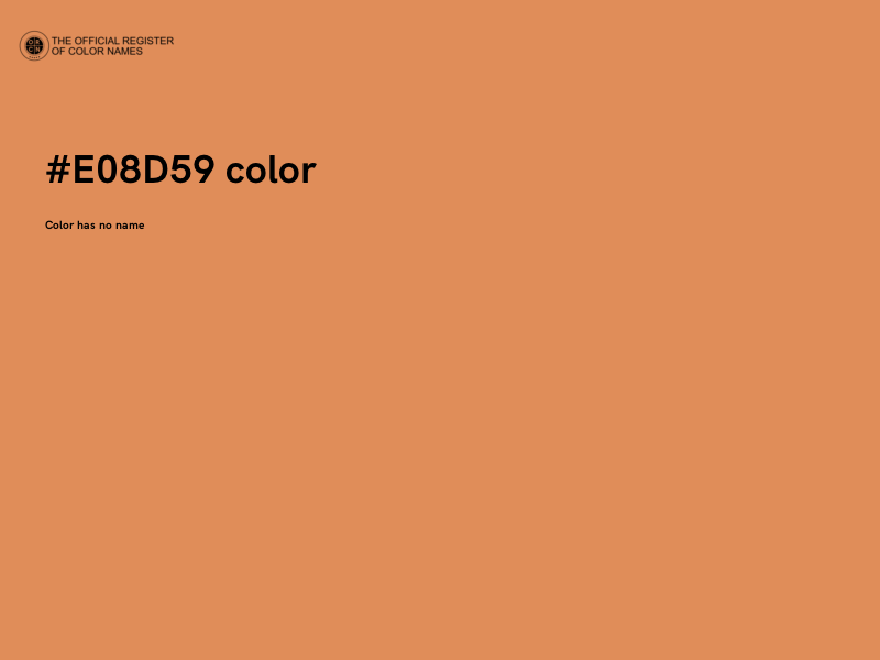 #E08D59 color image