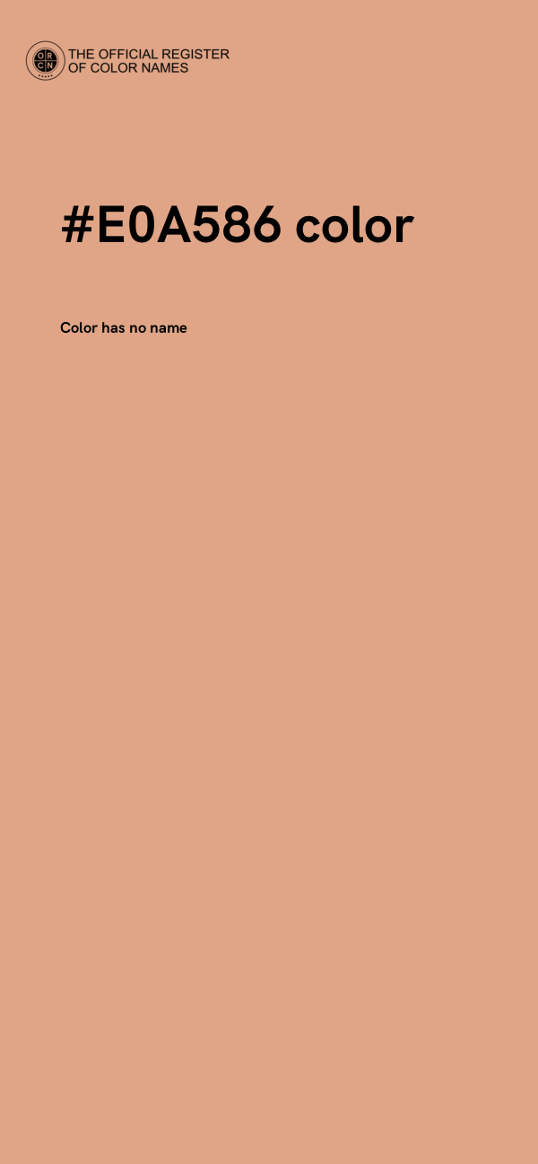 #E0A586 color image
