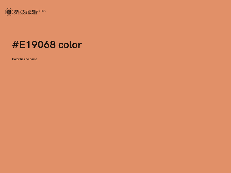 #E19068 color image