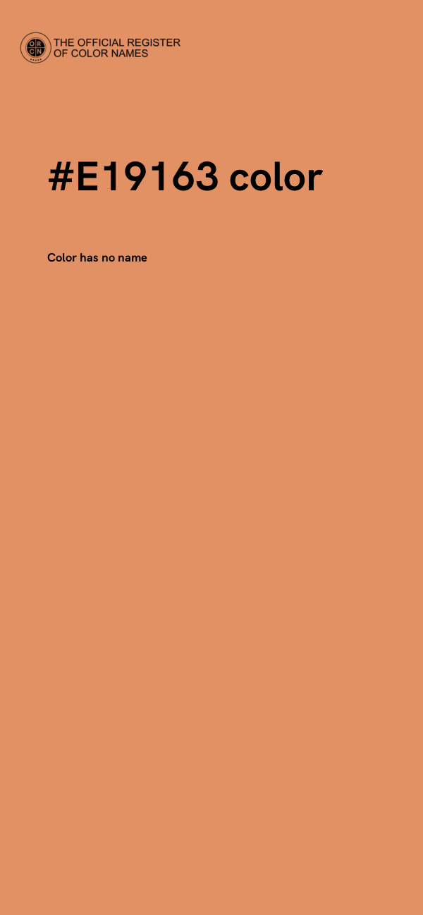 #E19163 color image