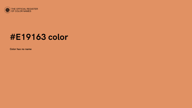 #E19163 color image