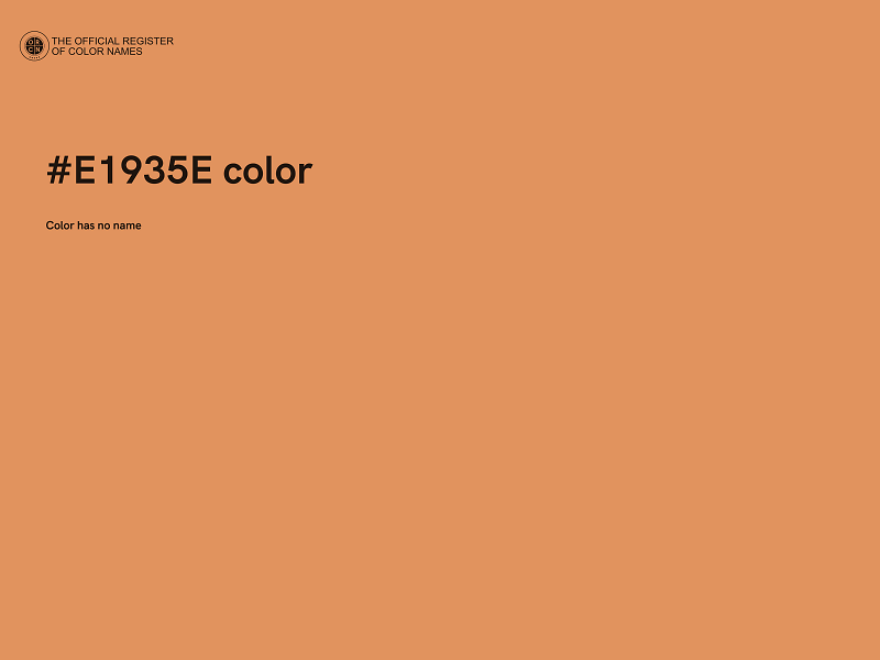 #E1935E color image