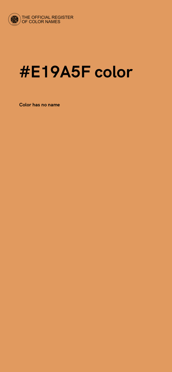 #E19A5F color image
