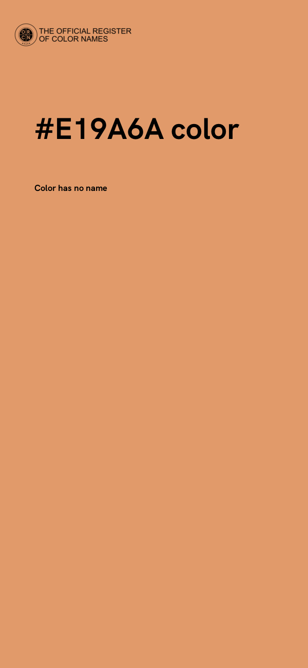#E19A6A color image
