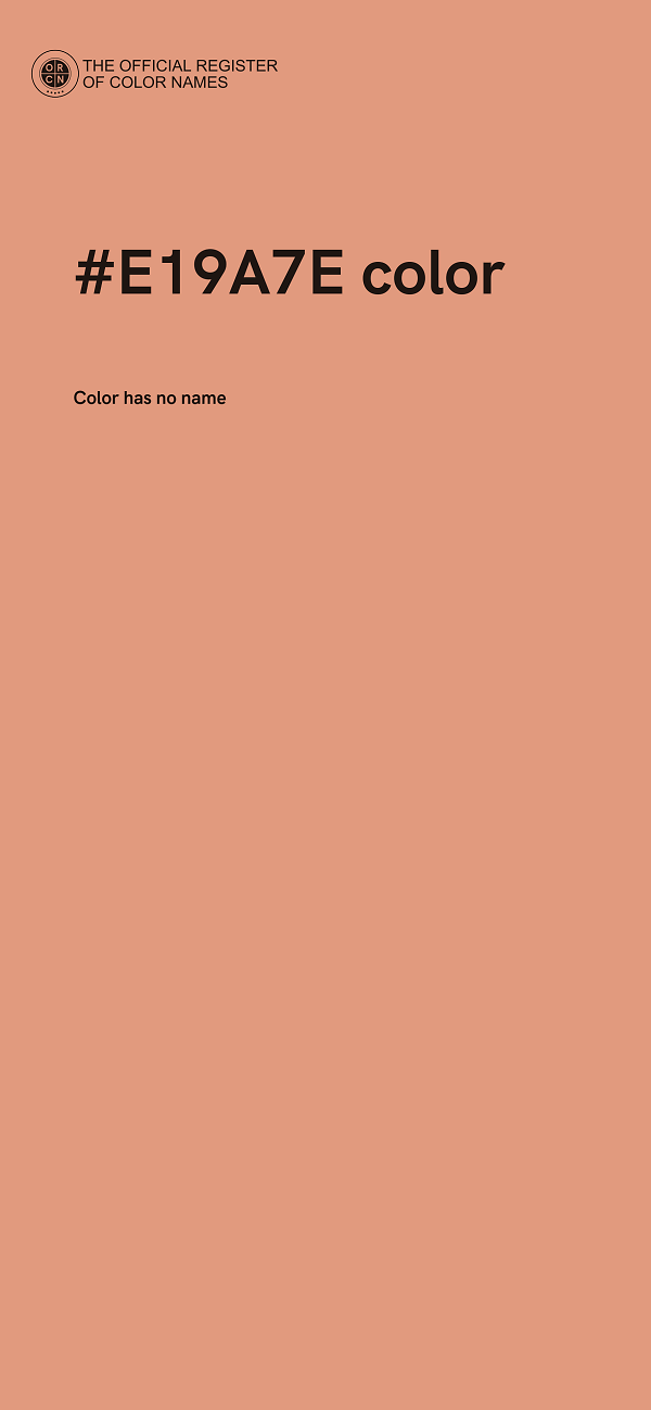 #E19A7E color image