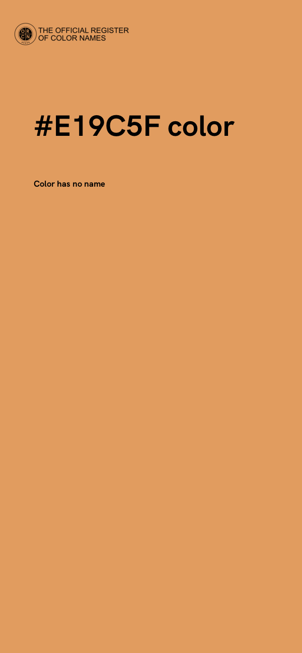 #E19C5F color image