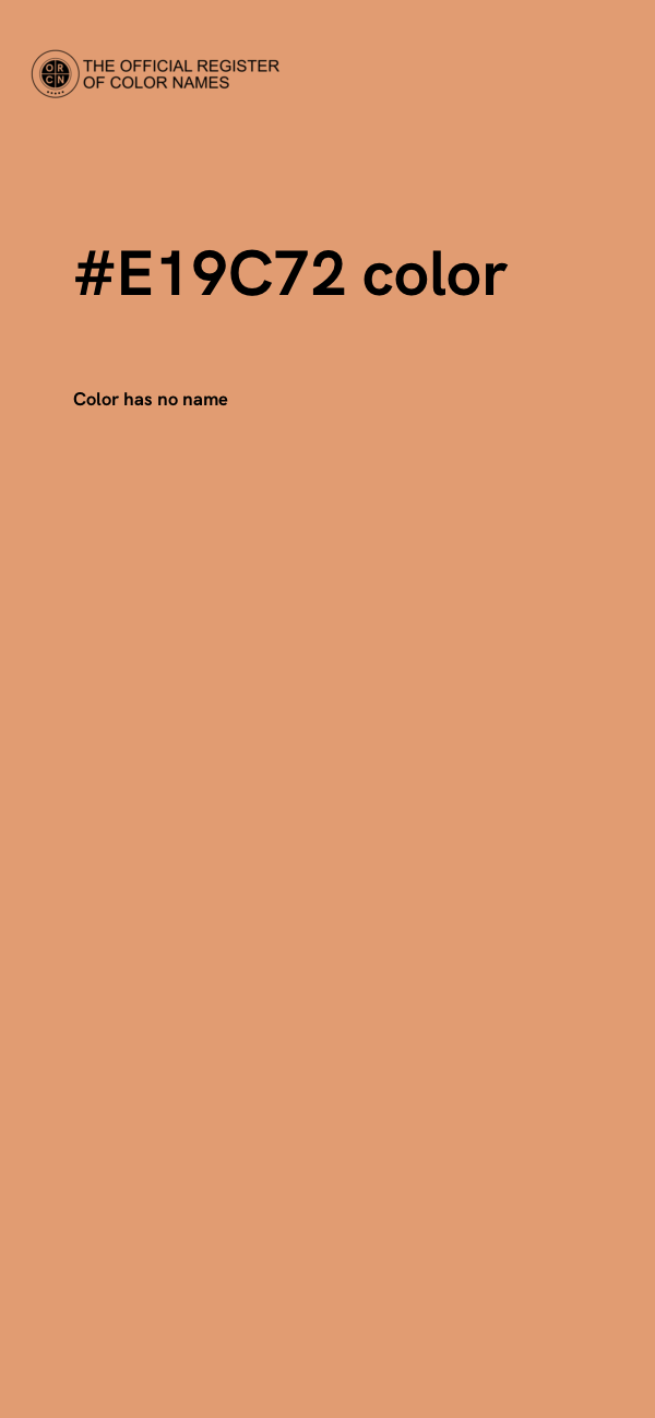 #E19C72 color image