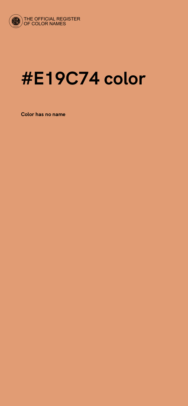 #E19C74 color image