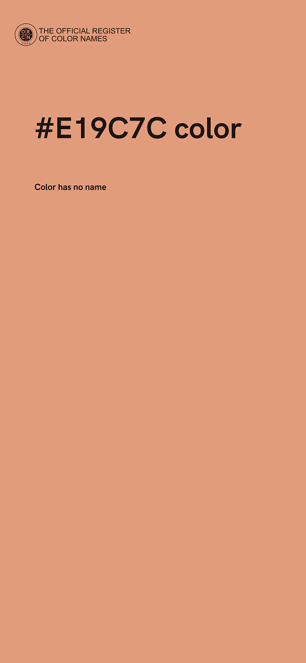 #E19C7C color image