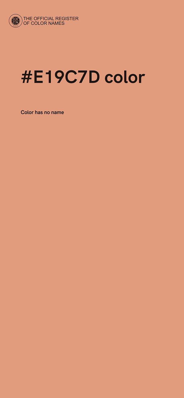 #E19C7D color image
