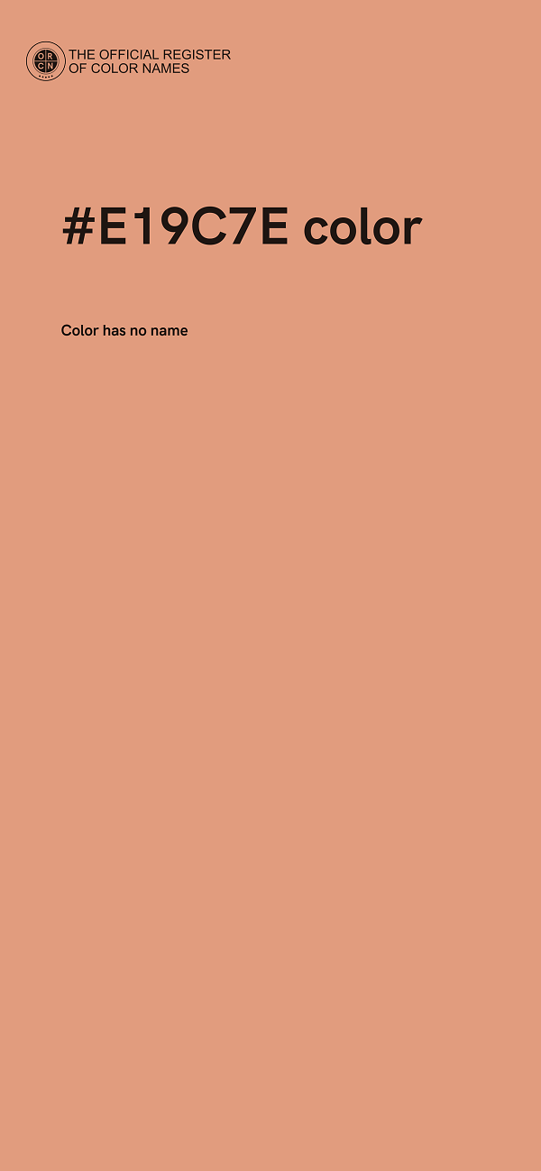 #E19C7E color image