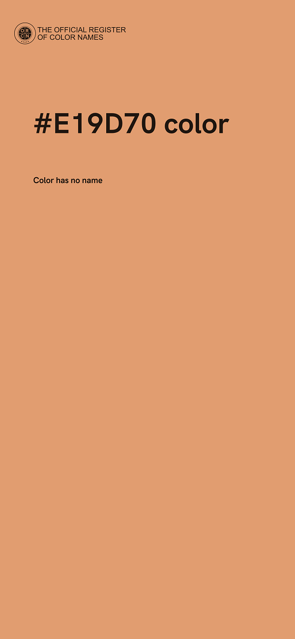 #E19D70 color image