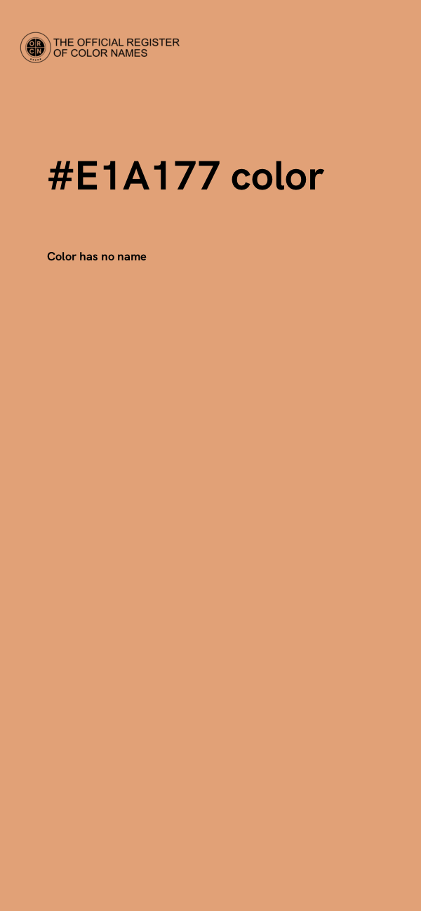 #E1A177 color image