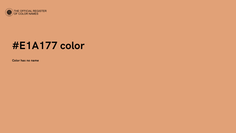 #E1A177 color image