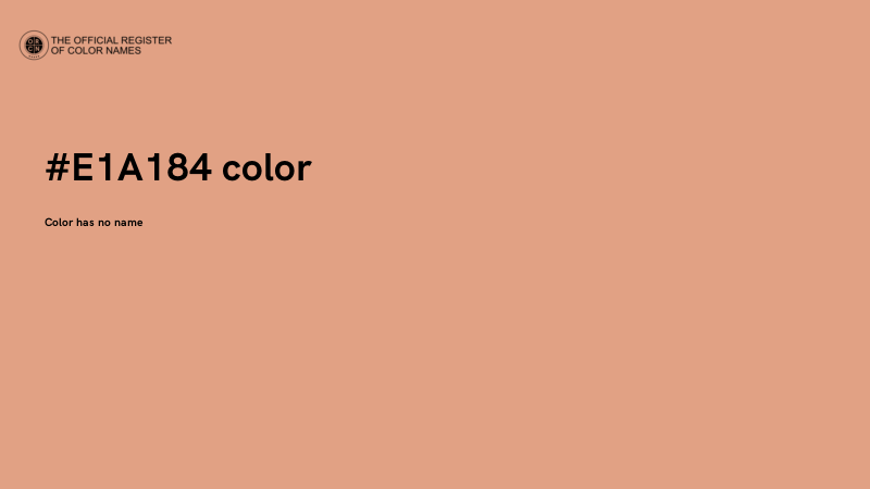 #E1A184 color image