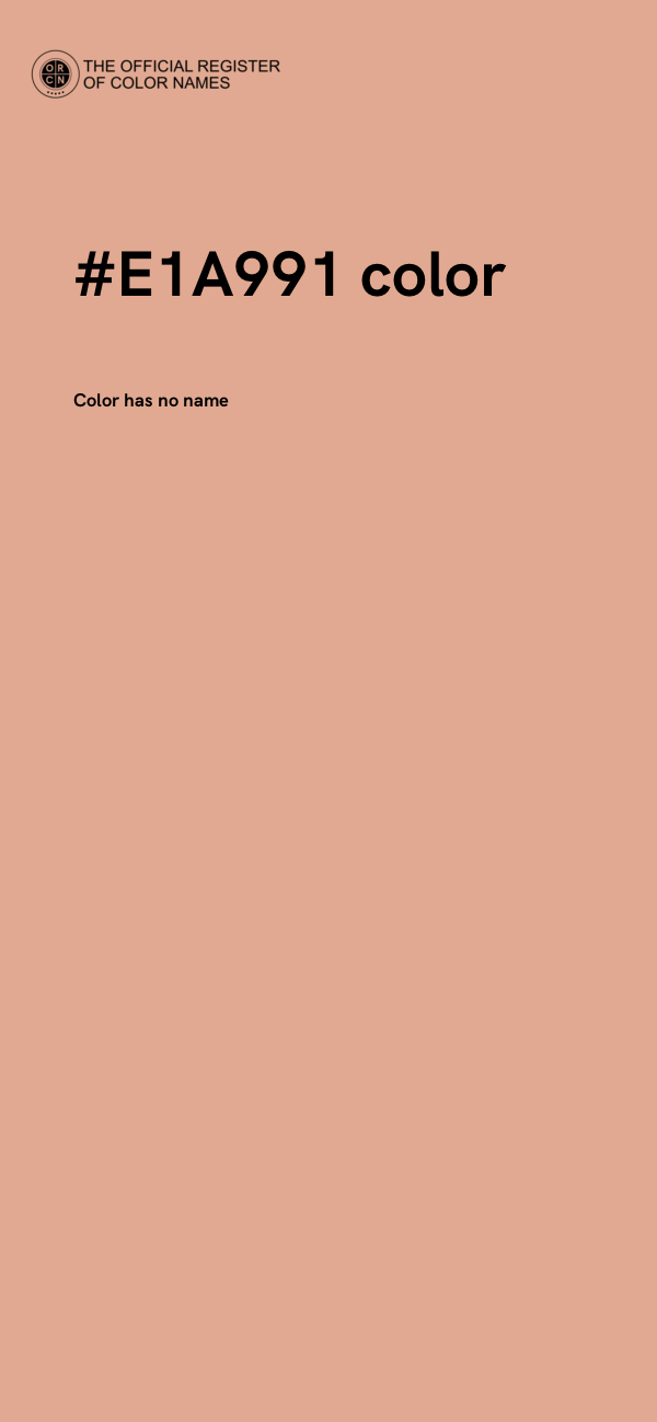 #E1A991 color image